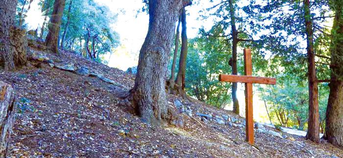 樹林斜坡上有一木製十字架（作者提供）
