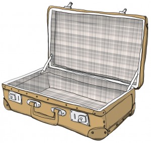14196484 - suitcase vintage