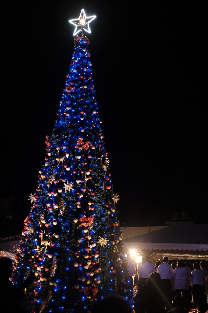 花蓮白燈塔公園的聖誕樹