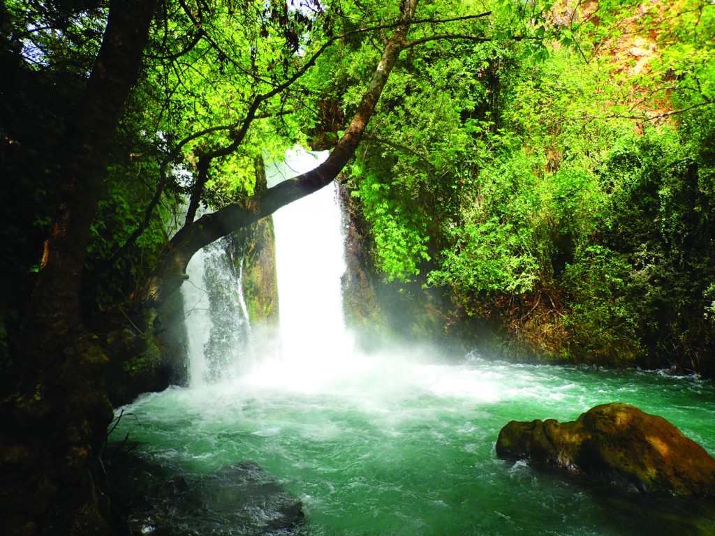 ↑在加利利海以北40公里，黑門山麓的班尼亞斯瀑布。（作者提供）