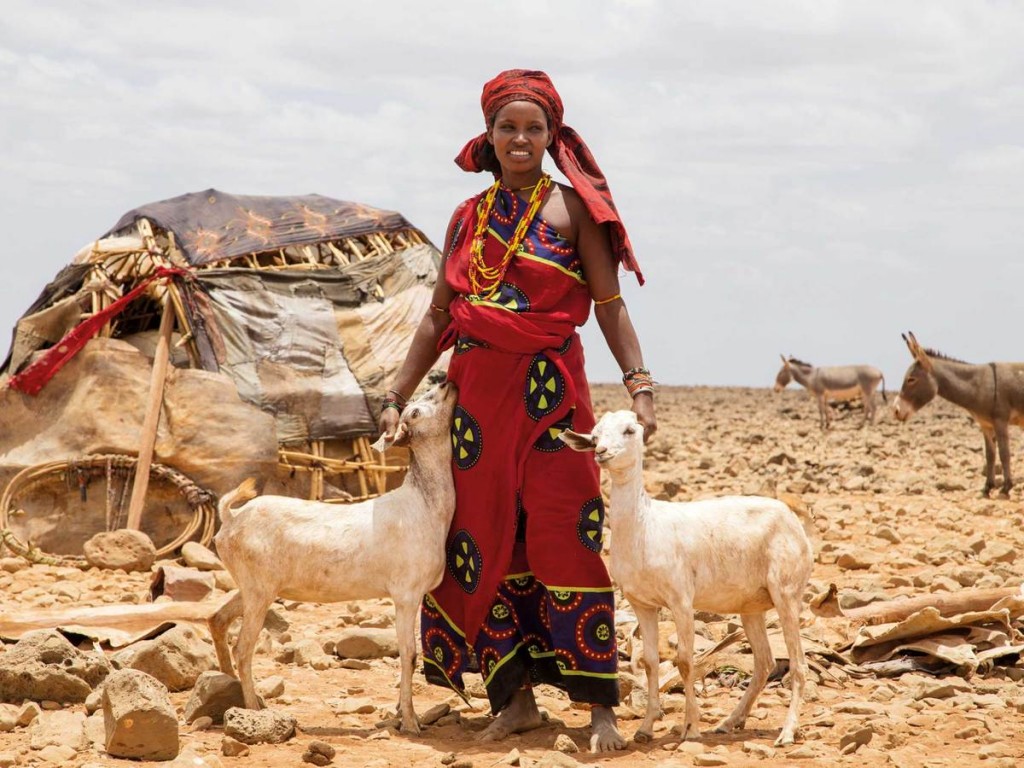 送給衣索匹亞婦女山羊，她們可以有羊奶和肉可吃喝。（圖／christianaid.org.uk）