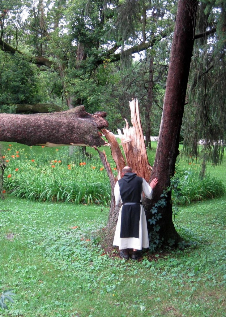 修士為祈斷的樹禱告。（圖／Trappist Caskets臉書）